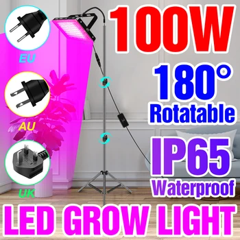 LED Cresce a Luz de Espectro Completo Phytolamp Com Stand de Plantas de Luz Interior Flor Cultivo Hidropônico LEVOU Fito Lâmpada Para Growbox